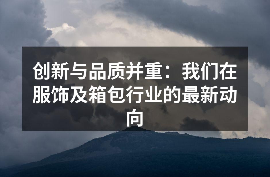 创新与品质并重：我们在服饰及箱包行业的最